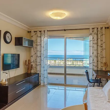 Ocean View In Tenerife *